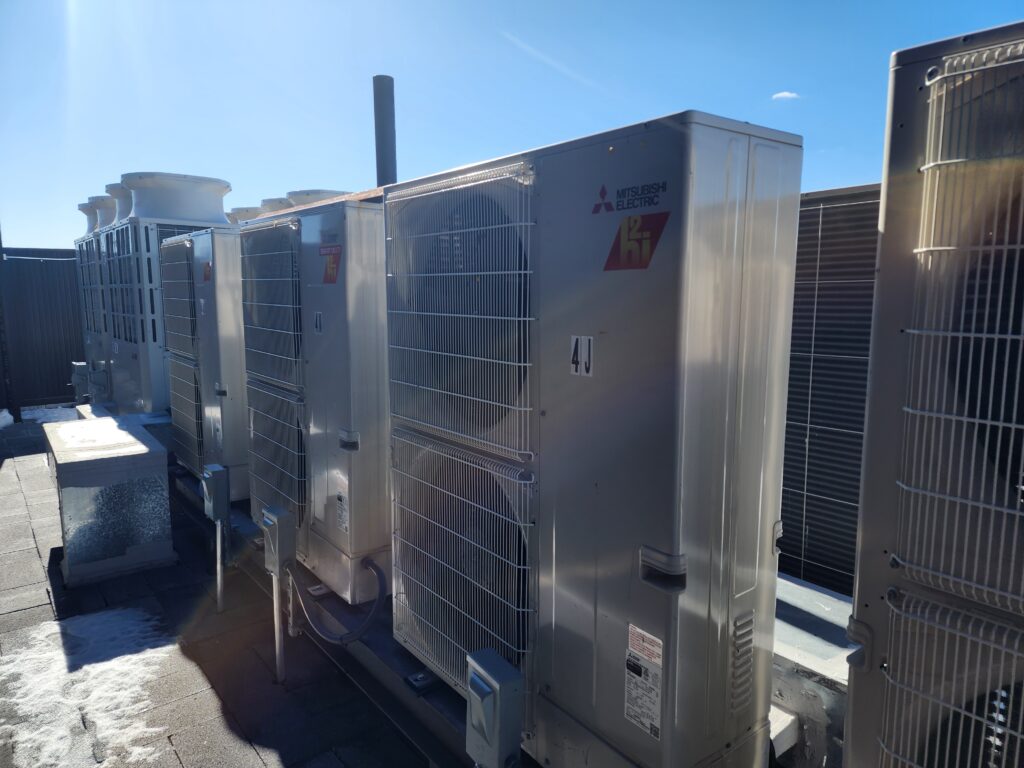 local law 84 jamaica